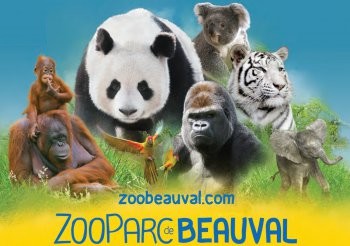 Zoo beauval